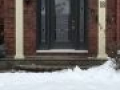 IMG 1281